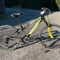 Mtb ragazzo 24’