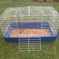 Gabbia per coniglietto 🐰