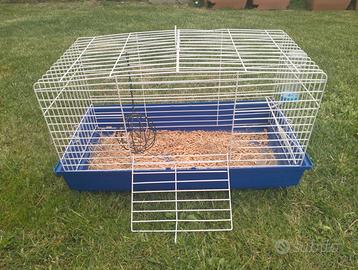 Gabbia per coniglietto 🐰