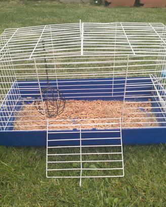 Gabbia per coniglietto 🐰