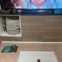 Mobile tv