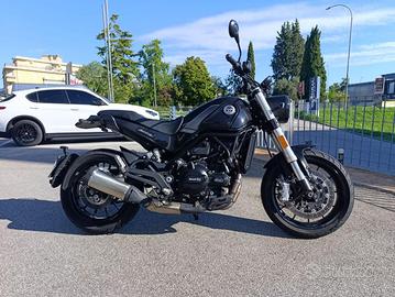 BENELLI Leoncino 500 LEONCINO 500