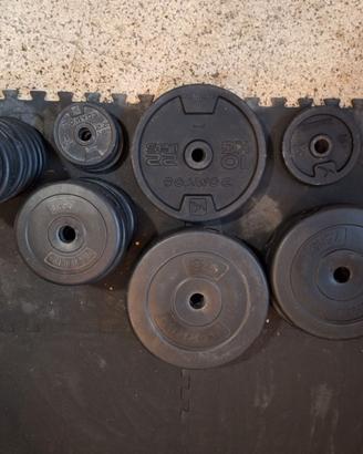 Attrezzatura Palestra in Casa / Home Gym com
