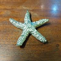 Ciondolo in argento stella marina nuovo