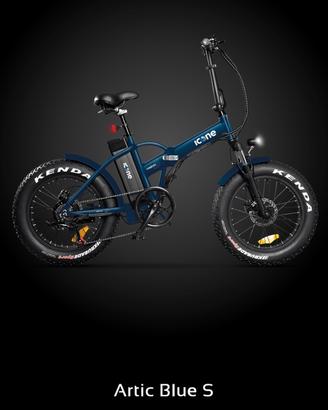 Bici ettrica