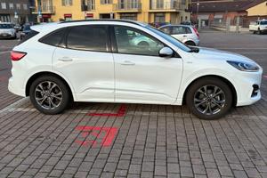 Ford Kuga ST-Line 1.5 Ecoblue 120cv Automatico