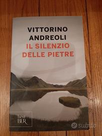 Il silenzio delle pietre — Vittorino Andreoli