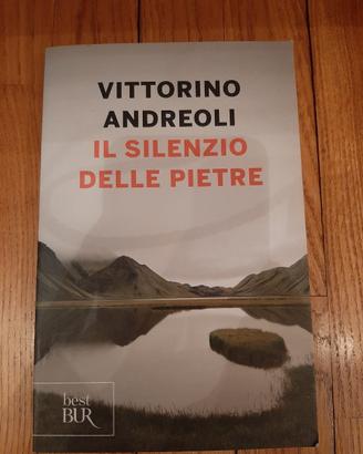 Il silenzio delle pietre — Vittorino Andreoli