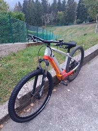 ebike