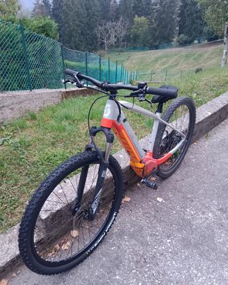 ebike