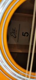 Eko ranger 12 corde