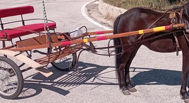 calesse pony e superpony 