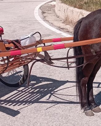 calesse pony e superpony 