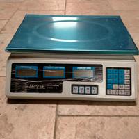 bilancia elettronica 