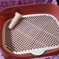 regalotoilette per cuccioli