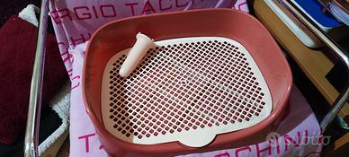 regalotoilette per cuccioli