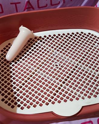 regalotoilette per cuccioli