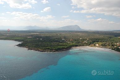 10 ha terreno agricolo
