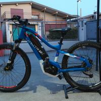 e-bike mtb  Haibike SDURO HardFour 2.0 USATA