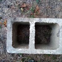 Blocchi per canna fumaria