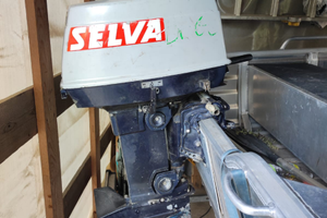 Selva 25cv 2 t
