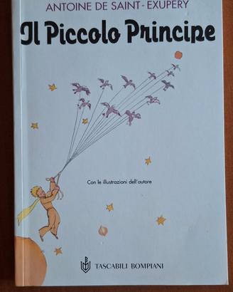 Libro Il piccolo principe
