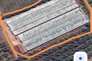 Azienda di 1 ettaro di serre