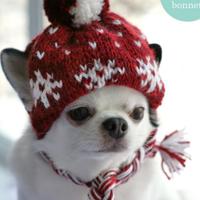 Cappello per Toy chihuahua