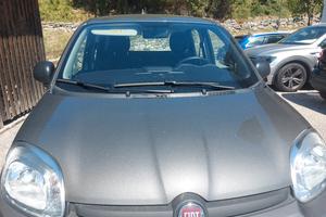 Fiat Panda Ybrid 1000 di 10/2023