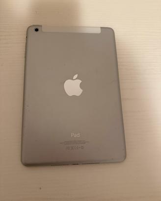Ipad wifi + cellular