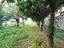 Immagine 25