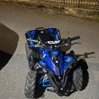 Quad elettrico