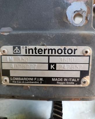 Motore internotor Lombardini im 350