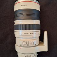  Canon ef 100-400 mm f4,5/5,6 I is usm stab.