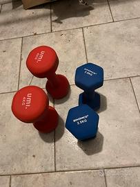 2 coppie di Manubri 2,5 kg e 4kg