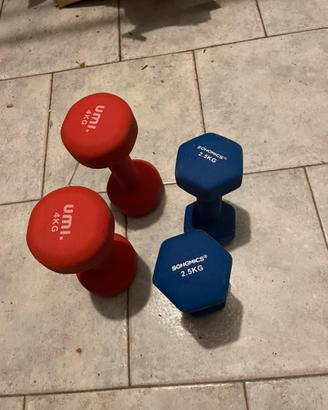 2 coppie di Manubri 2,5 kg e 4kg