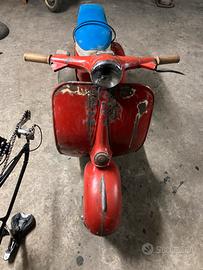 Vespa vnb1