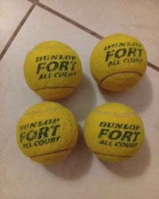 4 palle da tennis Dunlop Fort