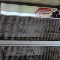 gabbie 120x45x45
