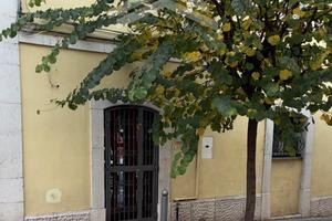 Appartamento - Campobasso