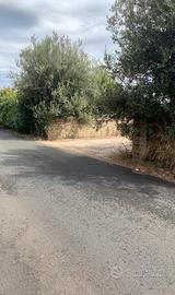 Terreno fronte strada a Velletri