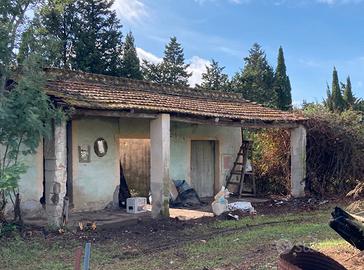 Terreno agricolo