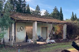 Terreno agricolo