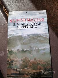 il viaggiatore notturno 