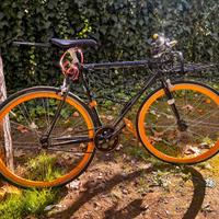 Single speed / scatto fisso