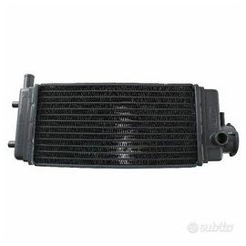 Radiatore acqua Aprilia ETX 125