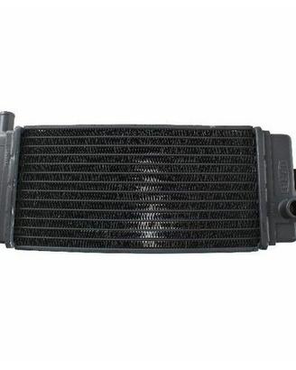 Radiatore acqua Aprilia ETX 125