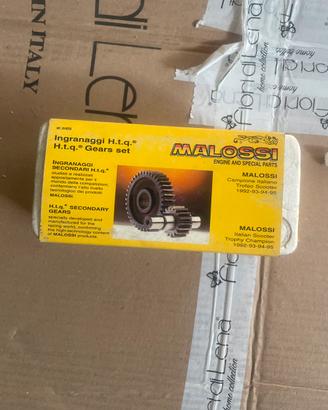 Ingranaggi malossi