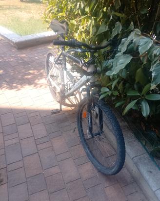MOUNTAIN BIKE PEUGEOT 