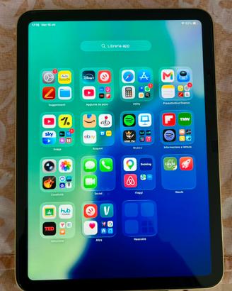 Ipad a16